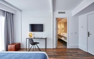 Gran Hotel Flamingo Adults Only